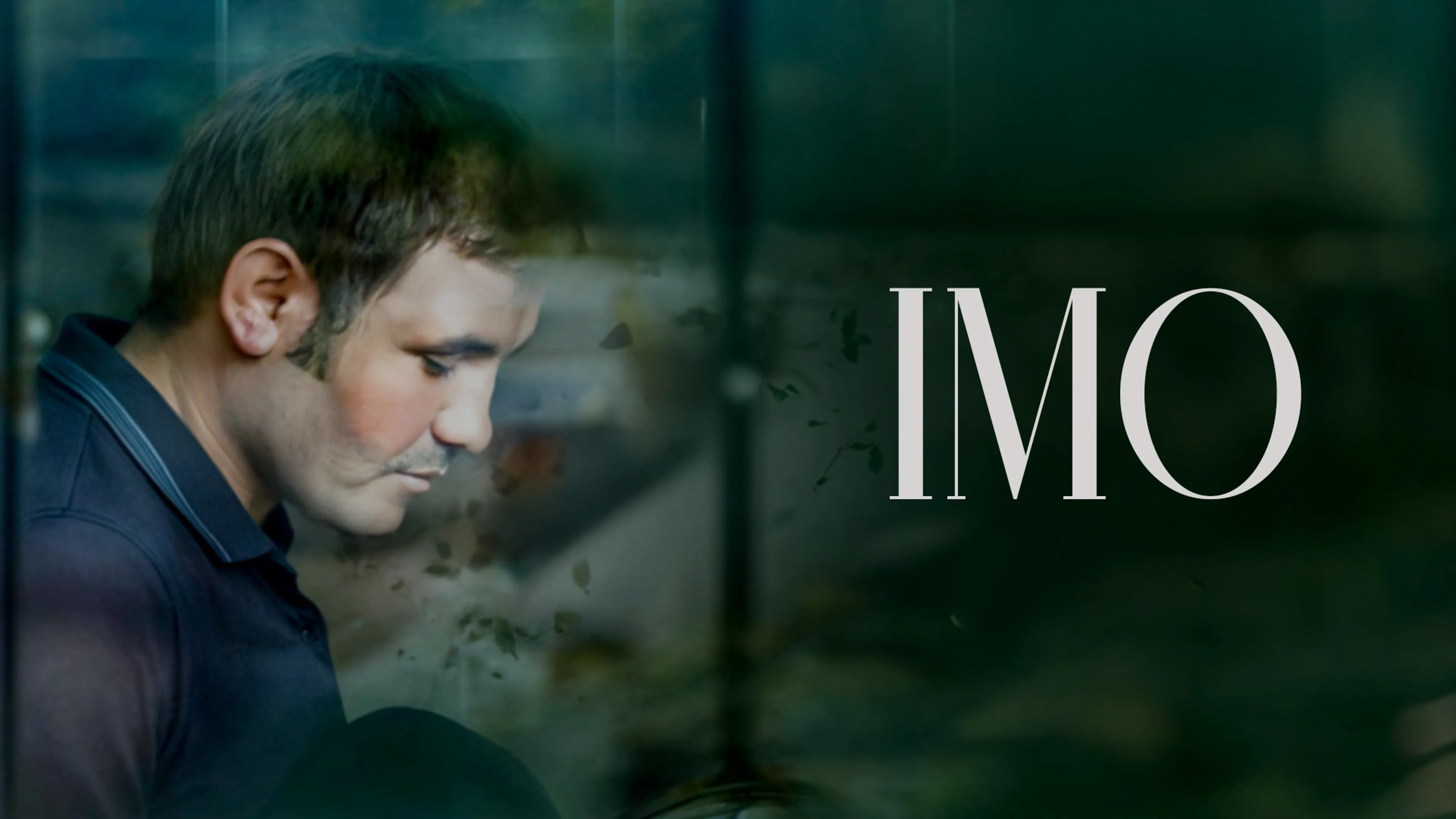 Imo poster